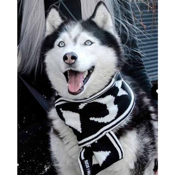 Rogue + Wolf ✦ “Moon Pupper” Knit Pet Scarf ✦ Black Vegan Yarn Celestial Print - Picture 2 of 16